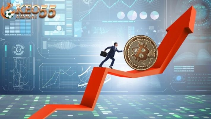 Về chúng tôi Keonhacai55 liên tục cập nhật thông tin