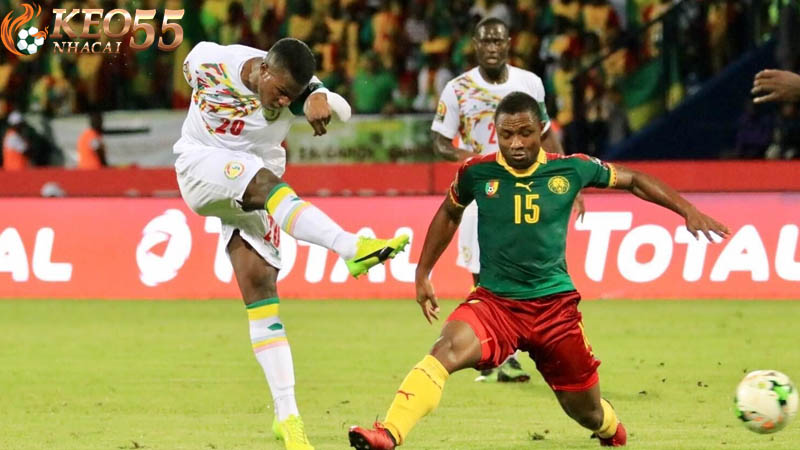 Soi kèo châu Phi khác gì châu Âu - Đặc điểm và chiến thuật